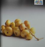 Finnland Jahrbuch 1991 postfrisch #NH679