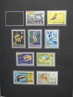 Ghana postfrisch besammelt in2 Borek Alben #LZ036