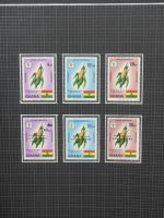 Ghana postfrisch besammelt in2 Borek Alben #LZ036