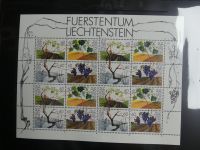 Liechtenstein Kleinbögen und Markenheftchen im Leuchtturmbinder #LZ282