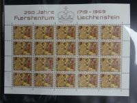 Liechtenstein Kleinbögen und Markenheftchen im Leuchtturmbinder #LZ282