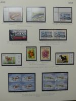 Island spezialisierte Sammlung auf selbstgestalteten Seiten #LZ516