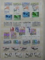 Europa Cept dual besammelt im Einsteck-Album #LZ761