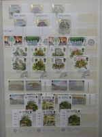 Europa Cept dual besammelt im Einsteck-Album #LZ761