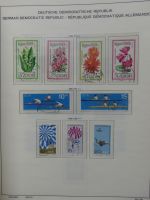 DDR komplett gestempelt von 1949-1972 im Schaubek Binder #LZ768