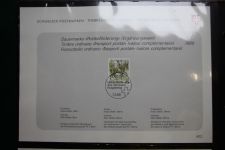 Schweiz Ersttagsblätter 1997-2001 im Post-Binder #LZ781