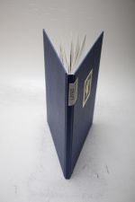 Deutsches Reich dicht gestecktes Lager mit viel Material im Einsteckalbum #LZ782