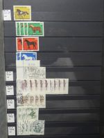 Berlin reichhaltiges Lager ab Anfängen im Einsteck-Album #LZ885