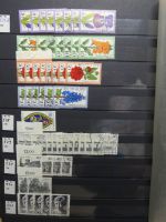 Berlin reichhaltiges Lager ab Anfängen im Einsteck-Album #LZ885