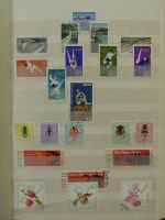 SBZ und DDR auch mit besseren Werten im Einsteck-Album #LZ927