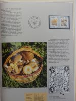 Norwegen Jahrbuch 1988-1991 postfrisch wie verausgabt, mit Kassette #OM539