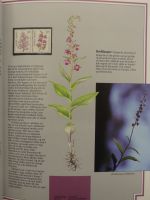 Norwegen Jahrbuch 1988-1991 postfrisch wie verausgabt, mit Kassette #OM539