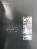 Neuseeland Jahreskollektion 2004 postfrisch im Hardcover/ Kassette #OM553