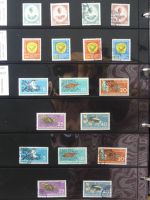 DDR dual besammelt nicht ganz komplett im pro-Collect Binder #LZ977