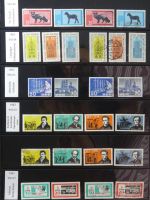 DDR dual besammelt nicht ganz komplett im pro-Collect Binder #LZ977