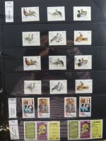 DDR dual besammelt nicht ganz komplett im pro-Collect Binder #LZ977