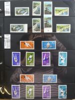 DDR dual besammelt nicht ganz komplett im pro-Collect Binder #LZ977