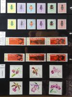 DDR dual besammelt nicht ganz komplett im pro-Collect Binder #LZ977