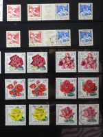DDR dual besammelt nicht ganz komplett im pro-Collect Binder #LZ977