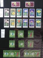 DDR dual besammelt nicht ganz komplett im pro-Collect Binder #LZ977
