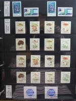 DDR dual besammelt nicht ganz komplett im pro-Collect Binder #LZ977