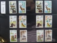 DDR dual besammelt nicht ganz komplett im pro-Collect Binder #LZ977