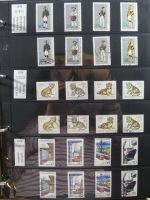 DDR dual besammelt nicht ganz komplett im pro-Collect Binder #LZ977