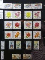 DDR dual besammelt nicht ganz komplett im pro-Collect Binder #LZ977