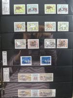 DDR dual besammelt nicht ganz komplett im pro-Collect Binder #LZ977