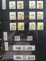 DDR dual besammelt nicht ganz komplett im pro-Collect Binder #LZ977