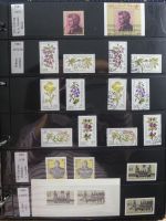 DDR dual besammelt nicht ganz komplett im pro-Collect Binder #LZ977