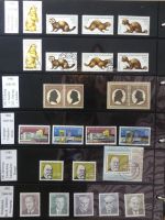 DDR dual besammelt nicht ganz komplett im pro-Collect Binder #LZ977