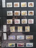 DDR dual besammelt nicht ganz komplett im pro-Collect Binder #LZ977