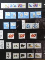 DDR dual besammelt nicht ganz komplett im pro-Collect Binder #LZ977