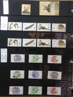 DDR dual besammelt nicht ganz komplett im pro-Collect Binder #LZ977