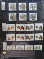 DDR dual besammelt nicht ganz komplett im pro-Collect Binder #LZ977