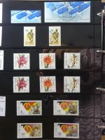 DDR dual besammelt nicht ganz komplett im pro-Collect Binder #LZ977