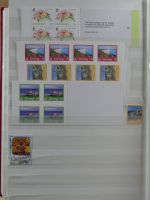 Kanalinseln dual besammelt im Einsteckalbum #LZ996