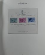 Liechtenstein 1976-1989 ** besammelt im Borek Vordruck #MA033