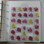 DDR Zusammendrucke ** besammelt in 3 Borek Binder #MA038