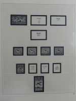 Danzig Safe Vordruck ab Anfängen im Safe Binder #MA064