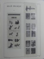 Belgien Vordruck bis 2010-2017 im Leuchtturm Binder #MA077