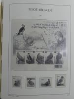 Belgien Vordruck bis 2010-2017 im Leuchtturm Binder #MA077