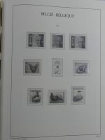 Belgien Vordruck bis 2010-2017 im Leuchtturm Binder #MA077