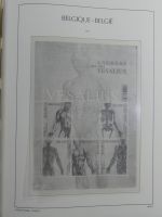 Belgien Vordruck bis 2010-2017 im Leuchtturm Binder #MA077