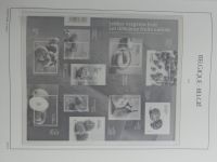 Belgien Vordruck bis 2010-2017 im Leuchtturm Binder #MA077