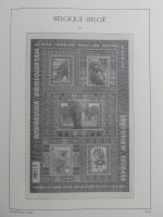 Belgien Vordruck bis 2010-2017 im Leuchtturm Binder #MA077