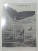 Belgien Vordruck bis 2010-2017 im Leuchtturm Binder #MA077