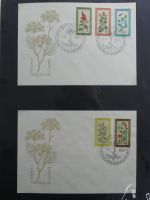 DDR Sammlung FDCs mit Besseren auf selbstgestalteten Seiten #MA100