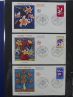 Andorra Sammlung FDCs mit Besseren auf selbstgestalteten Seiten #MA103